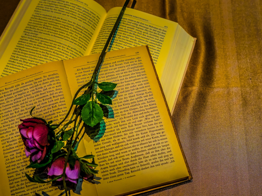 Why I Love Romantic Suspense 1